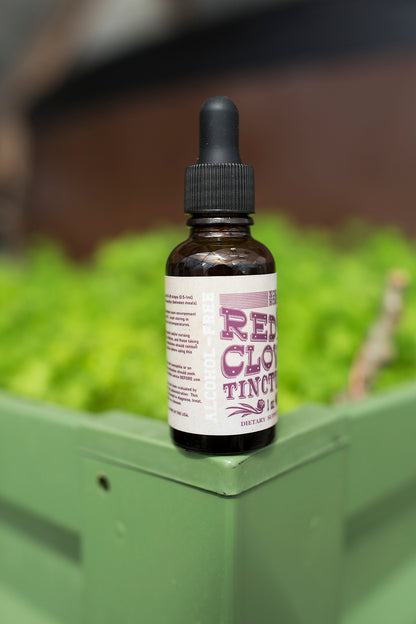 Red Clover Tincture 1 oz bottle