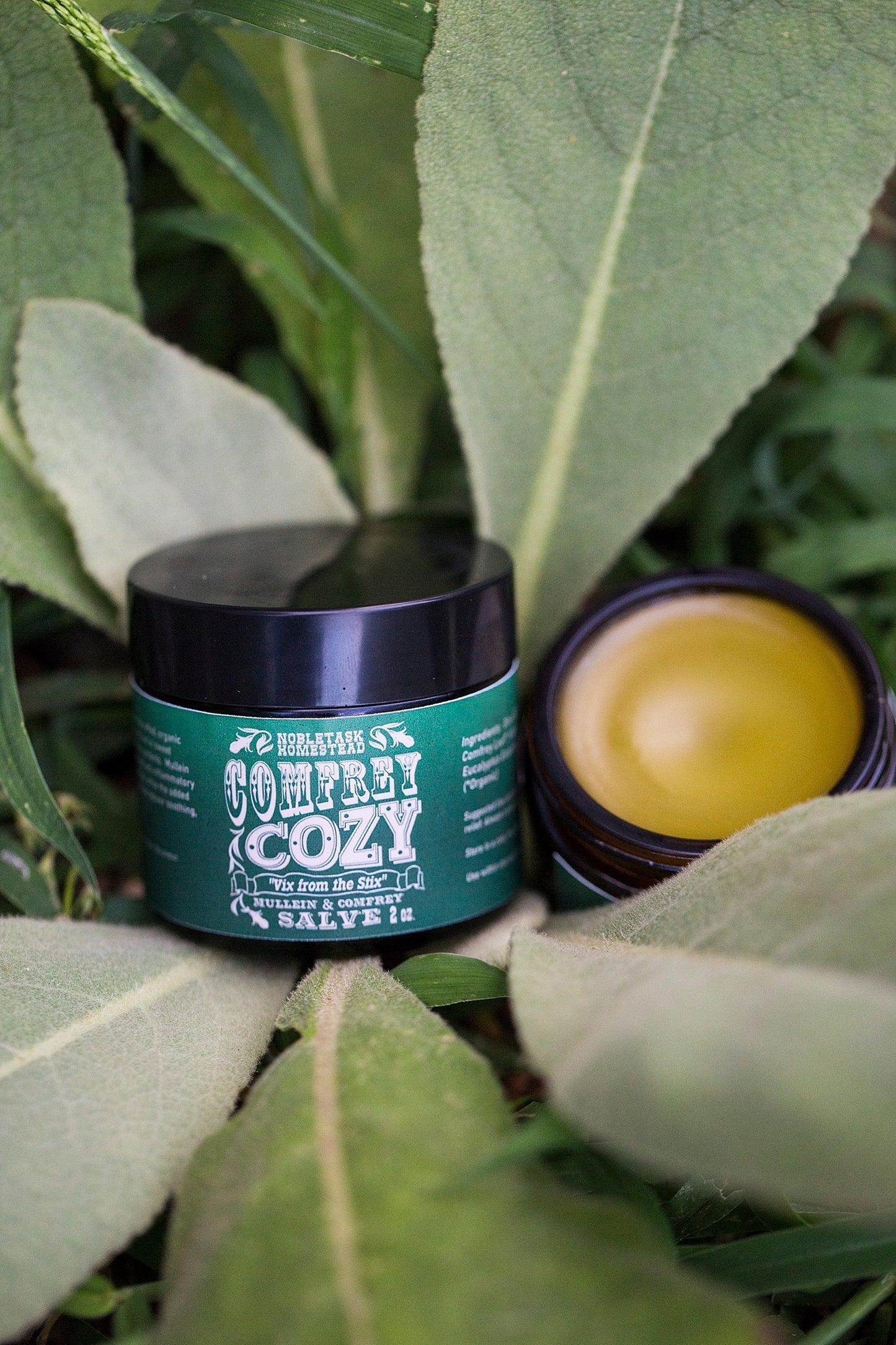 Comfrey Cozy - Mullein & Comfrey Salve