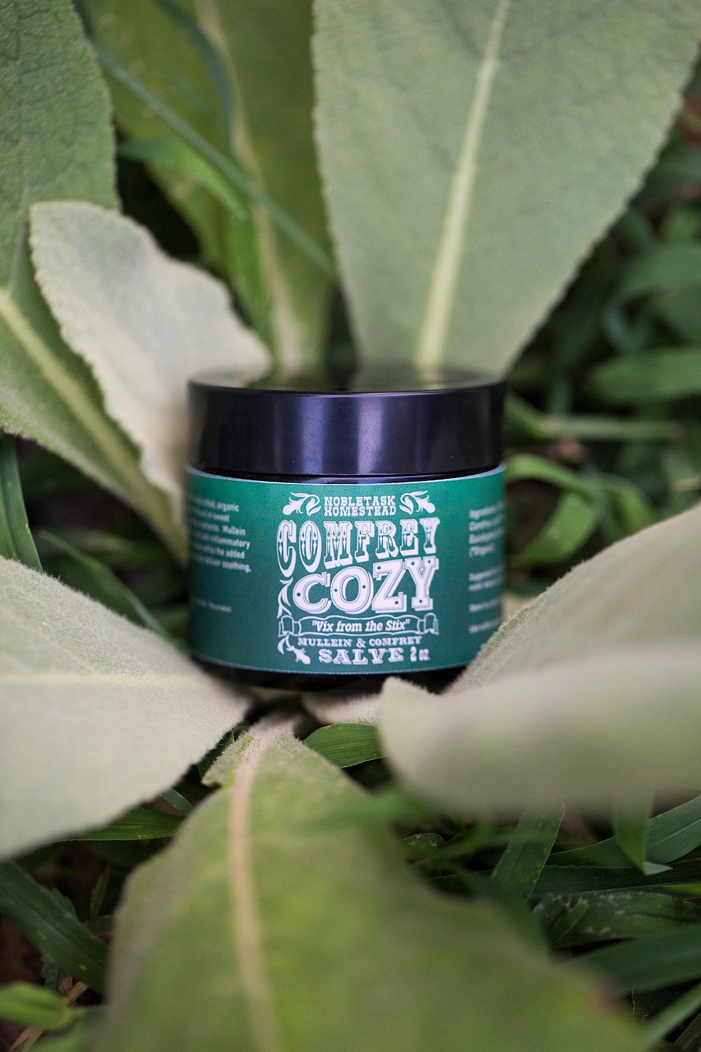 Comfrey Cozy - Mullein & Comfrey Salve