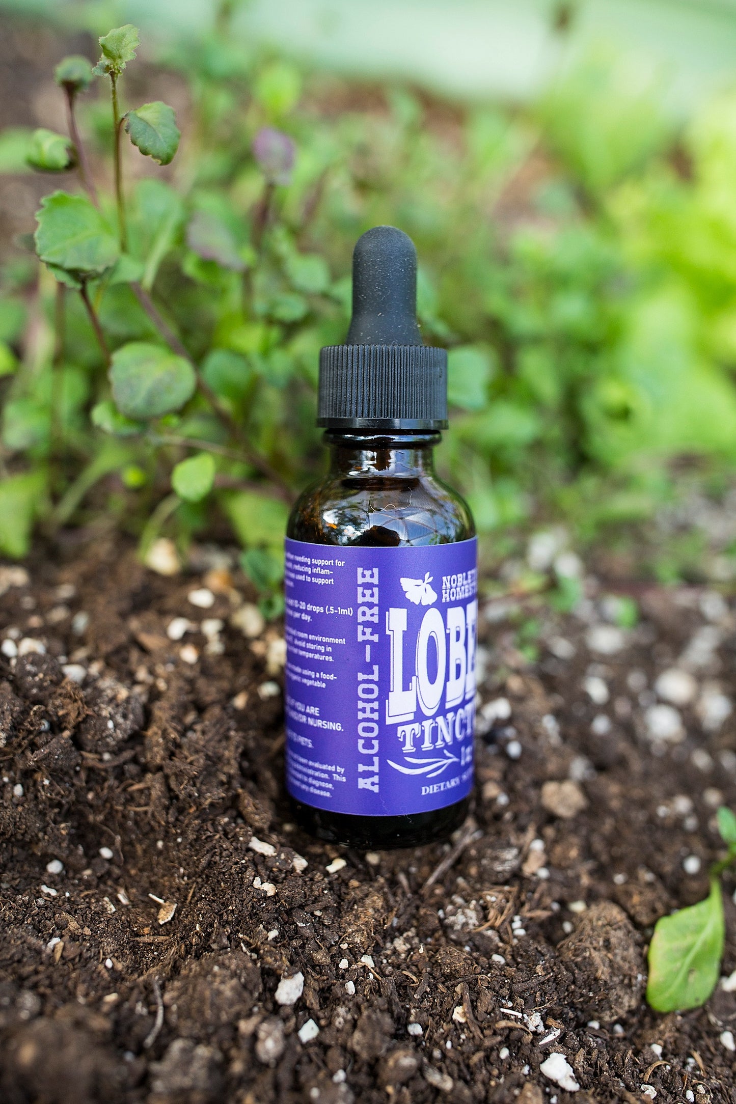 Lobelia Tincture 1 oz bottle