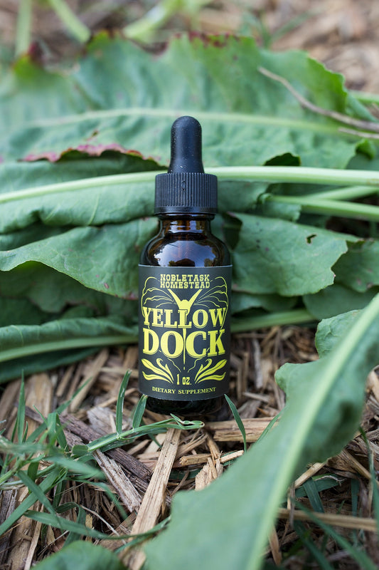 Yellowdock Tincture - 1 oz btl