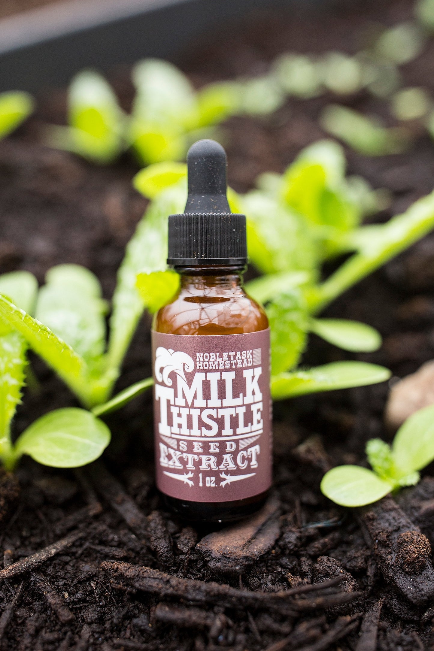 Milk Thistle Seed Tincture - 1 oz bottle