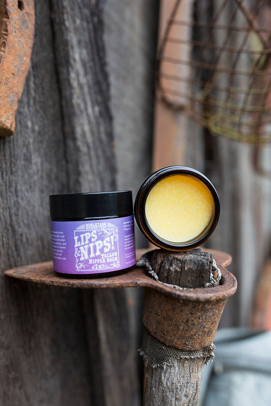 Lips n Nips! Tallow Nipple Balm REGULAR - 2 oz jar